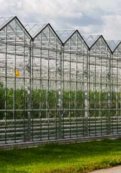 GreenHouse Agriculture Fencing